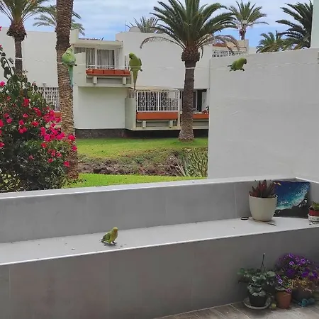 Ideal Holiday Apartment In The South Of Tenerife Costa Del Silencio Exterior foto