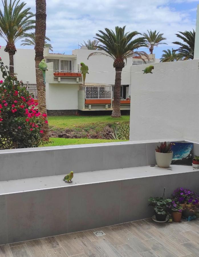 Ideal In The South Of Tenerife *